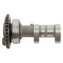 HOT CAMS 4281-2E : Arbol de levas HOT CAMS ESCAPE - Stage 2 Yamaha YZ450F