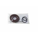 RACETECH R-GASCANSEALS : Juntas Bidon de gasolina RACETECH