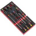 FACOM MODM.AT5 : Set bandeja destornilladores estrella FACOM Protwist® 10u