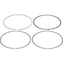 VERTEX 590295000003 : Segmento VERTEX - Ø94.96 mm