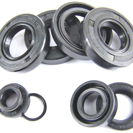 TECNIUM 0409476 : kit retenes de motor TECNIUM Minarelli AM6