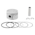 PROX 01.2487.050 : Piston PROX  - 9819