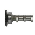 HOT CAMS 4286-1IN : Arbol de levas HOT CAMS - Stage 1 Yamaha YFZ450