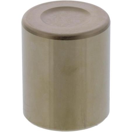 TOURMAX BCP-120 : Pistón pinza de freno TOURMAX Honda