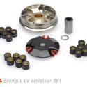 JASIL 6040423 : Variador JASIL S1V PEUGEOT Ludix, Trekker