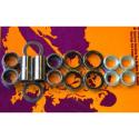 PIVOT WORKS PWSAK-T02-540 : Kit de reparación de basculante PIVOT WORKS POUR KTM SX,MXC,EXC400 / 520 2000-02