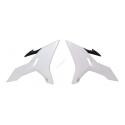 RACETECH R-CVYZ0BN0016 : Tapas laterales radiador RACETECH