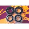 PIVOT WORKS PWRWK-Y25-008 : Kit de rodamientos y retenes de rueda trasera PIVOT WORKS