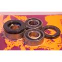 PIVOT WORKS PWRWK-S17-400 : Kit de rodamientos y retenes de rueda trasera PIVOT WORKS