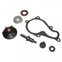TOP PERFORMANCES AA00829 : Kit de reparación de bomba de agua TOP PERFORMANCES - Piaggio Beverly 350