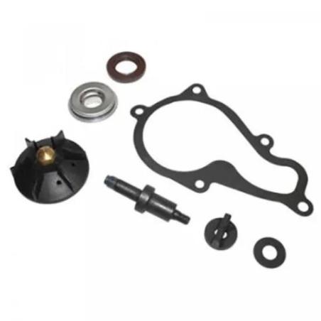 TOP PERFORMANCES AA00829 : Kit de reparación de bomba de agua TOP PERFORMANCES - Piaggio Beverly 350