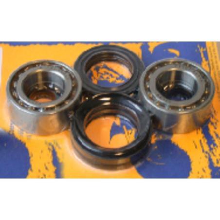 PIVOT WORKS PWFWK-H14-040 : Kit de rodamientos y retenes de rueda delantera PIVOT WORKS