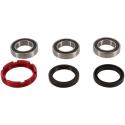 PIVOT WORKS PWRWK-H11-021 : Kit de rodamientos y retenes de rueda trasera PIVOT WORKS