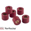JASIL 6068001 : Set 6 rodillos JASIL 15X12 - 3,5gr