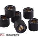 JASIL 6070453 : Set 6 rodillos JASIL19X15,5- 4,5gr