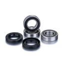 FACTORY LINKS RWK-Z-020 : FACTORY LINKS Juego de rodamientos de rueda trasera para llantas Talon