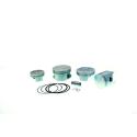 PROX 01.2417.C : Piston forjado PROX  - 254013