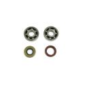 ATHENA P400010444001 : Kit de rodamientos y retenes de cigueñal ATHENA motor Minarelli AM6