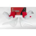 RACETECH R-KITHSQ-RQ0-417 : RACETECH Plastic Kit Vintage White/Red Husqvarna