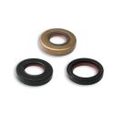 MALOSSI 6615757 : Juego de retenes de aceite MALOSSI FKM / PTFE - Minarelli AM6