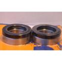 PIVOT WORKS PWRWK-Y09-000 : Kit de rodamientos y retenes de rueda trasera PIVOT WORKS