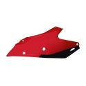 RACETECH R-FIGASRGNR21 : Paneles laterales RACETECH - Gas Gas