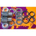 PIVOT WORKS PWSAK-K04-021 : Kit de reparación de basculante PIVOT WORKS POUR KAWASAKI KX250 1996-97