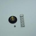 TOURMAX ACV-403 : Kit reparación bomba de gasolina TOURMAX Kawasaki VN1500