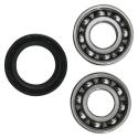 HOT RODS HR00138 : Kit de reparación de balancín HOT RODS - Honda CRF 250 R / RX