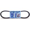 POLINI 248.003 : Correa variador Polini YAMAHA-MBK-APRIL. (248003)