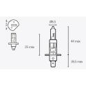V PARTS 14636 : LAMPARA HALOGENA H1
