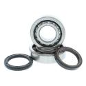 HOT RODS K095 : Kit de rodamientos y retenes de cabeza de biela HOT RODS - CRF 450