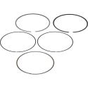 VERTEX 590399000003 : Segmento VERTEX - Ø98.95 mm
