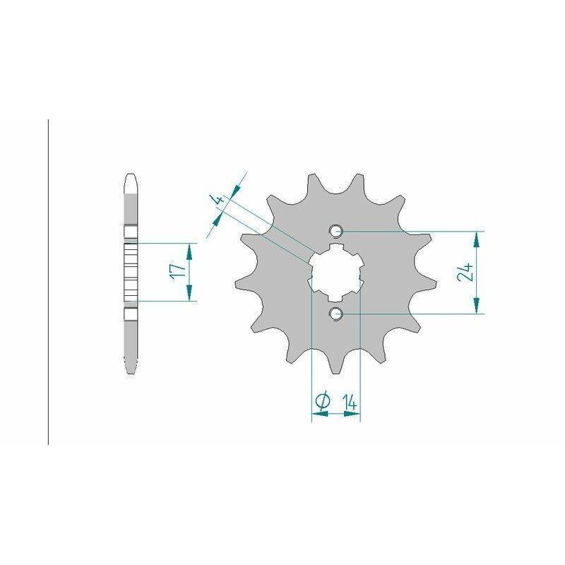 AFAM 49102-11 : Piñón AFAM acero estándar 49102 - Paso 420