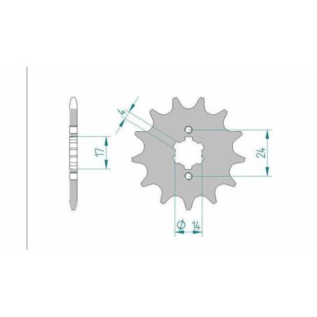AFAM 49102-11 : Piñón AFAM acero estándar 49102 - Paso 420