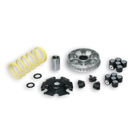 MALOSSI 5118659 : Variador Multivar Malossi SYM GTS/SYMPHONY 125 PGT TWEET 125