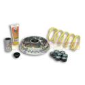 MALOSSI 5114258 : Variador Multivar Malossi SUZ. BURGMAN 400 99-06 5114258