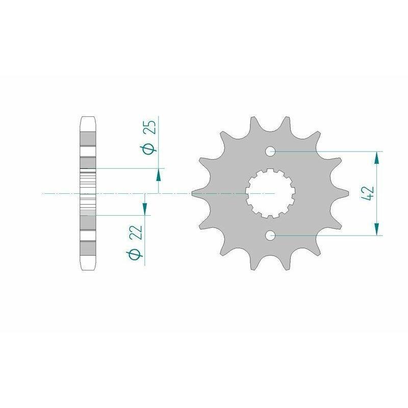 AFAM 24500-14 : Piñón AFAM acero estándar 24500 - Paso 530