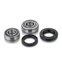FACTORY LINKS RWK-Y-171 : Kit de rodamientos de rueda trasera FACTORY LINKS