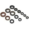 CENTAURO 990A152SR : Kit retenes de motor DTR125R 99-08 990A152SR