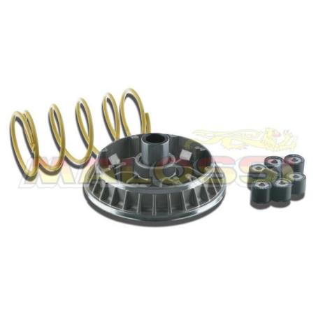 MALOSSI 5114263 : Variador Multivar Malossi SUZ. BURGMAN 400 07-09 5114263