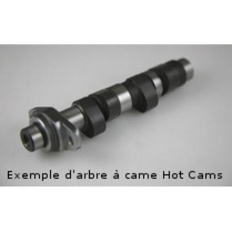 HOT CAMS 5246-1 : Arbol de levas HOT CAMS  - Stage 1 Polaris