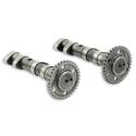 MALOSSI 5915981 : Árbol de levas MALOSSI Double Power Cam - Yamaha T-Max 530