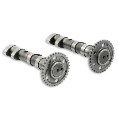 MALOSSI 5915981 : Árbol de levas MALOSSI Double Power Cam - Yamaha T-Max 530
