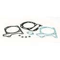 MALOSSI 1113960B : Kit de juntas parte alta para 051101 X9/X8/X7/MP3 NEXUS 180 Malossi 1113960B