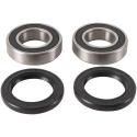 PIVOT WORKS PWRWK-T04-521 : Kit de rodamientos y retenes de rueda trasera PIVOT WORKS