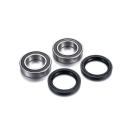 FACTORY LINKS ARA-S-002 : Kit de rodamientos de rueda FACTORY LINKS