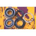 PIVOT WORKS PWRWK-H06-520 : Kit de rodamientos y retenes de rueda trasera PIVOT WORKS