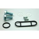 TOURMAX FCK-14 : Kit Reparación grifo de gasolina XT600 FCK-14