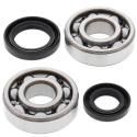 ALL BALLS 24-1075 : Kit rodamientos y retenes de cigüeñal All Balls 24-1075